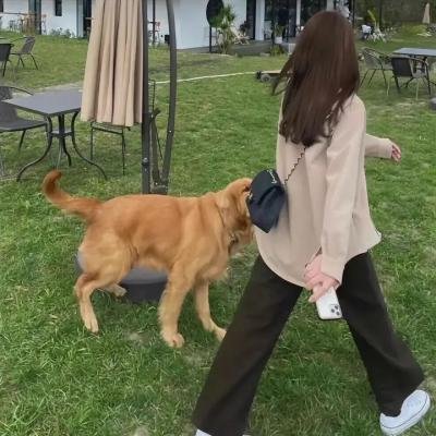 交换人生